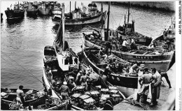 AGCP2-56-0163 - QUIBERON - Le Dechargement Des Sardines - Quiberon