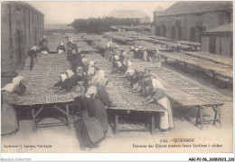 AGCP2-56-0153 - QUIBERON - Femmes Des Usines Mattant Leurs Sardines A Secher - Quiberon