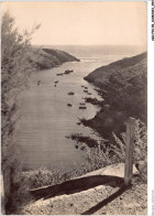 AGCP10-56-0827 - BELLE-ILE-EN-MER - Anse De Goulphar - Belle Ile En Mer