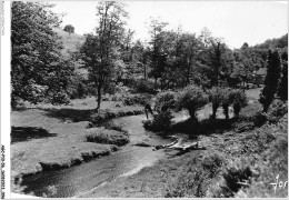 AGCP10-56-0828 - GUEMENE-SUR-SCORFF - La Vallée Du Scorff - Guemene Sur Scorff