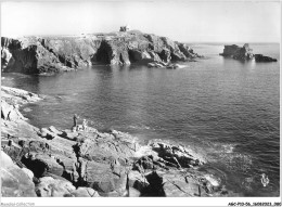 AGCP10-56-0820 - Presqu'ile De QUEBERON - La Cote Sauvage - La Pointe De L'observatoire Et Le Rocher Du Lion - Quiberon