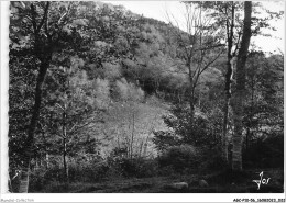 AGCP10-56-0791 - LE FAOUET - Les Bois Dominant La Riviere Et Le Vallon De L'Elle - Le Faouet