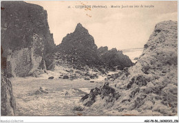 AGCP8-56-0704 - QUIBERON - Monhir Jacob Un Jour De Tempete - Quiberon