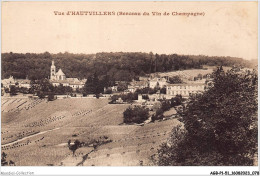 AGBP1-51-0040 - HAUTVILLERS - Berceau Du Vin De Champagne  - Autres & Non Classés