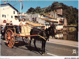 AGEP4-64-0332 - Collection D'art Pyrénéen - Le Pays Basque - A SAINT-JEAN-PIED-DE-PORT - En Fête - Saint Jean Pied De Port