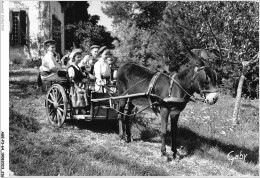 AGEP3-64-0301 - Folklore De France - Le Pays Basque - Groupe - Jarraiki - SAINT-PALAIS - Pays De Mixe ANE - Saint Palais