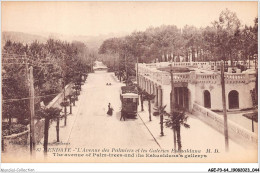 AGEP3-64-0215 - HENDAYE - L'avenue Des Palmiers Et Les Galeries Eskualduna - Hendaye