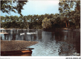 AGEP10-89-0932 - APPOIGNY - Yonne - Bords De L'yonne - Appoigny