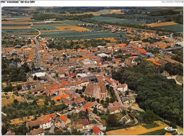 AGEP10-89-0915 - CHAMPIGNY - Yonne - Vue Générale Aérienne - Champigny