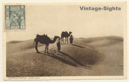 Tripolitania / Ex Italian Colony: Camel Caravan In Desert (Vintage PC 1910s/1920s) - Libië