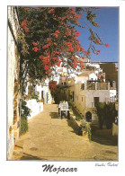 MOJACAR, ANDALUCIA, SPAIN. USED POSTCARD My2 - Almería