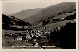 52164807 - Wald Am Schoberpass - Other & Unclassified