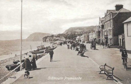 SIDMOUTH - Promenade - Card In Very Good Condition ! - Autres & Non Classés