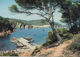 LE LAVANDOU, CAP BENATA, PORT PHILIPPE COULEUR  REF 16118 - Le Lavandou