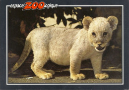 *CPM - 42 - SAINT MARTIN LA PLAINE - Le Zoo - Lionceau Blanc - Sonstige & Ohne Zuordnung