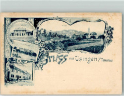 13515207 - Usingen - Usingen