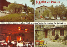 *CPM - 42 - PELUSSIN - Grill Hôtel Du Collet De Doizieu - Multivues - Pelussin