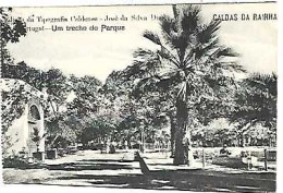 Portugal & Marcofilia, Caldas Da Rainha, Um Trecho Do Parque, Ed. T. Caldense, Lisboa 1916 (44567) - Autres & Non Classés
