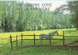 *CPM - Cheval  - De L'autre Coté De La Barrière - Philosophy