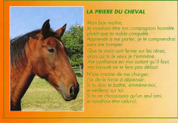 *CPM - La Prière Du Cheval - Cavalli
