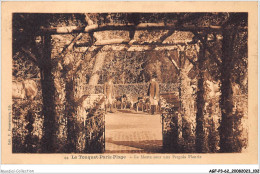 AGFP3-62-0254 - LE TOUQUET PARIS-PLAGE - La Meute Sous Une Pergola Fleurie  - Le Touquet