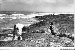 AGFP9-62-0804 - LE PORTEL - Cueillette Des Moules  - Le Portel