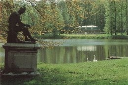 BELGIQUE - Enghien - Le Pugiliste Et La Halte Du Miroir - Cygnes - Statue - Carte Postale - Edingen