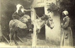 *Repro CPA - 17 - ILE DE RE - LE BOIS L'Ane En Culotte - Retour Des Champs - Ile De Ré