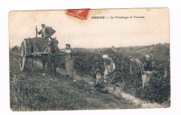 D 37 -  Cpa - AMBOISE - Les Vendanges En Touraine - Amboise