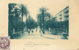 *CPA - 83 - HYERES - Avenue Des Palmiers - Hyeres