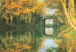 BELGIQUE - Enghien - Le Pont De La Dodane - Carte Postale - Enghien - Edingen