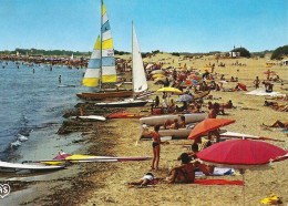 *CPM - 34 - AGDE - Grau D'Agde - La Tamarissière - La Plage - Agde