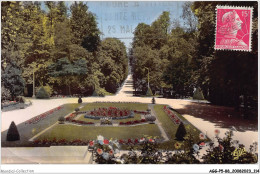 AGGP5-88-0400 - VITTEL - La Grande Allée Devant Le Casino - Contrexeville