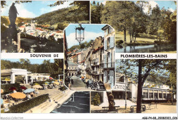 AGGP4-88-0264 - Souvenir De Plombières-les-bains - Plombieres Les Bains