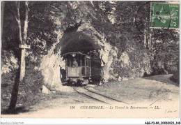 AGGP3-88-0241 - GERARDMER - Le Tunnel De Retournemer - Gerardmer