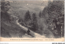 AGGP2-88-0113- PLOMBIERES-LES-BAINS - Vallée Des Roches - Plombieres Les Bains