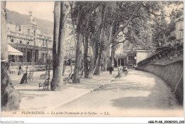 AGGP1-88-0011 - PLOMBIERES-LES-BAINS - La Petite Promenade Et Le Casino - Plombieres Les Bains