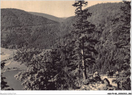 AGGP9-88-0732 - Environs De Gerardmer - Le Lac De Retournemer - Vue De La Roche Du Diable - Gerardmer