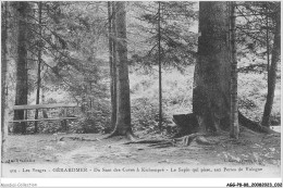 AGGP8-88-0633 - Les Vosges - Gérardmer - Du Saut Des Cubes à Kichompré - Le Sapin Qui Pisse Aux Perie De Vologne - Gerardmer