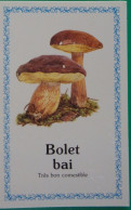 Petit Calendrier De Poche 1991 Champignon Bolet Bai - Klein Formaat: 1991-00
