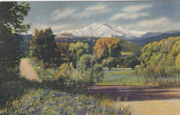 Long's Peak And Mt. Meeker From The Fields Of North.Colorado Ngl #E8725 - Sonstige & Ohne Zuordnung