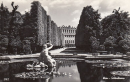 Wien, Schönbrunn Gl1959 #E7782 - Sonstige & Ohne Zuordnung