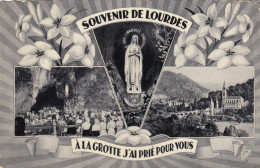 Souvenir De Lourdes (Haut-Pyrenées) Gl1958 #E9030 - Lourdes