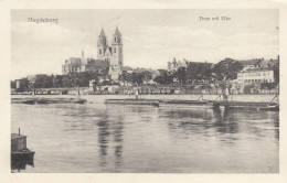 Magdeburg, Dom Mit Elbe Gl1917 #E8360 - Sonstige & Ohne Zuordnung
