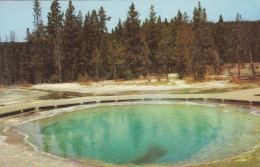 Yellowstone Nat.Park, Morning Glory Pool Ngl #E8748 - Autres & Non Classés