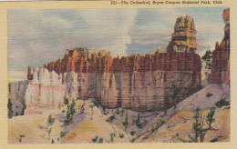 Brice Canyon Nat.Park, Utah,The Cathedral Ngl #E8698 - Andere & Zonder Classificatie