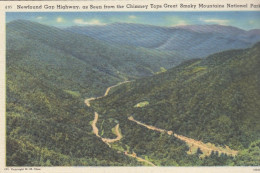 Great Smoky Mountains Nat.Park, Newfound Gap Highway Ngl #E8715 - Sonstige & Ohne Zuordnung