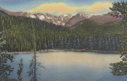 Denver Mountain Parks, CO., Mt.Evans And Echo Lake On The Mt.Evans Road Ngl #E8731 - Altri & Non Classificati