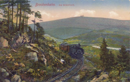 Brockenbahn (Harz) Am Eckerloch Gl1913 #E9008 - Autres & Non Classés