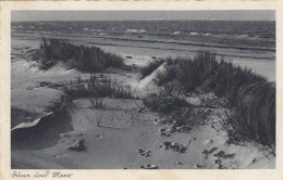 Insel Sylt, Düne Und Meer Gl1938 #E9517 - Sonstige & Ohne Zuordnung